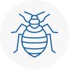 Bed Bug Extermination In Long Stratton