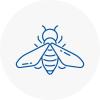 Bee Nest Removal Long Stratton