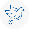 Bird Prevention Long Stratton