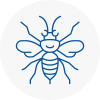Long Stratton Hornet Nest Removals