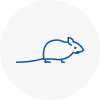 Mice Exterminators In Long Stratton