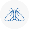 Moth Control Specialists In Long Stratton