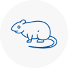 Rat Control Long Stratton