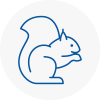 Long Stratton Rodent Removals