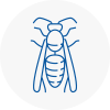 Long Stratton Wasp Nest Removal